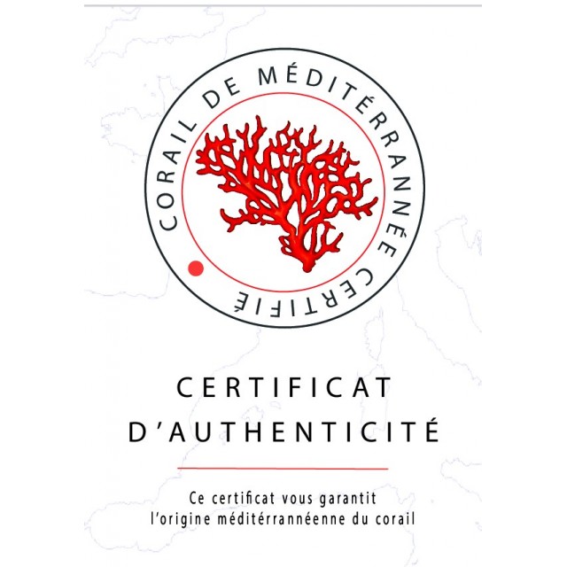 Bracelet œil de Ste Lucie et pierres SBC235COR-ARG