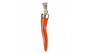 Pendentif corne...